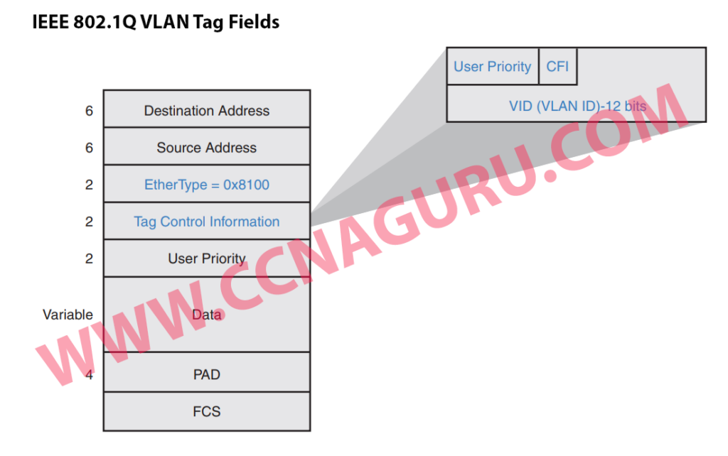 IEEE 802.1Q VLAN Tag Fields