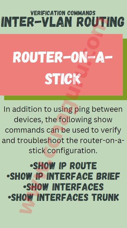 Router-on-a-stick Verification Commands